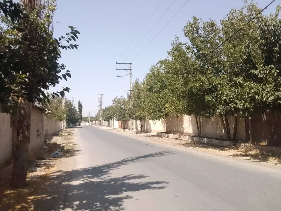 زمین ۲۵۰ متری دونبش در سهیلیه زعفرانیه کرج