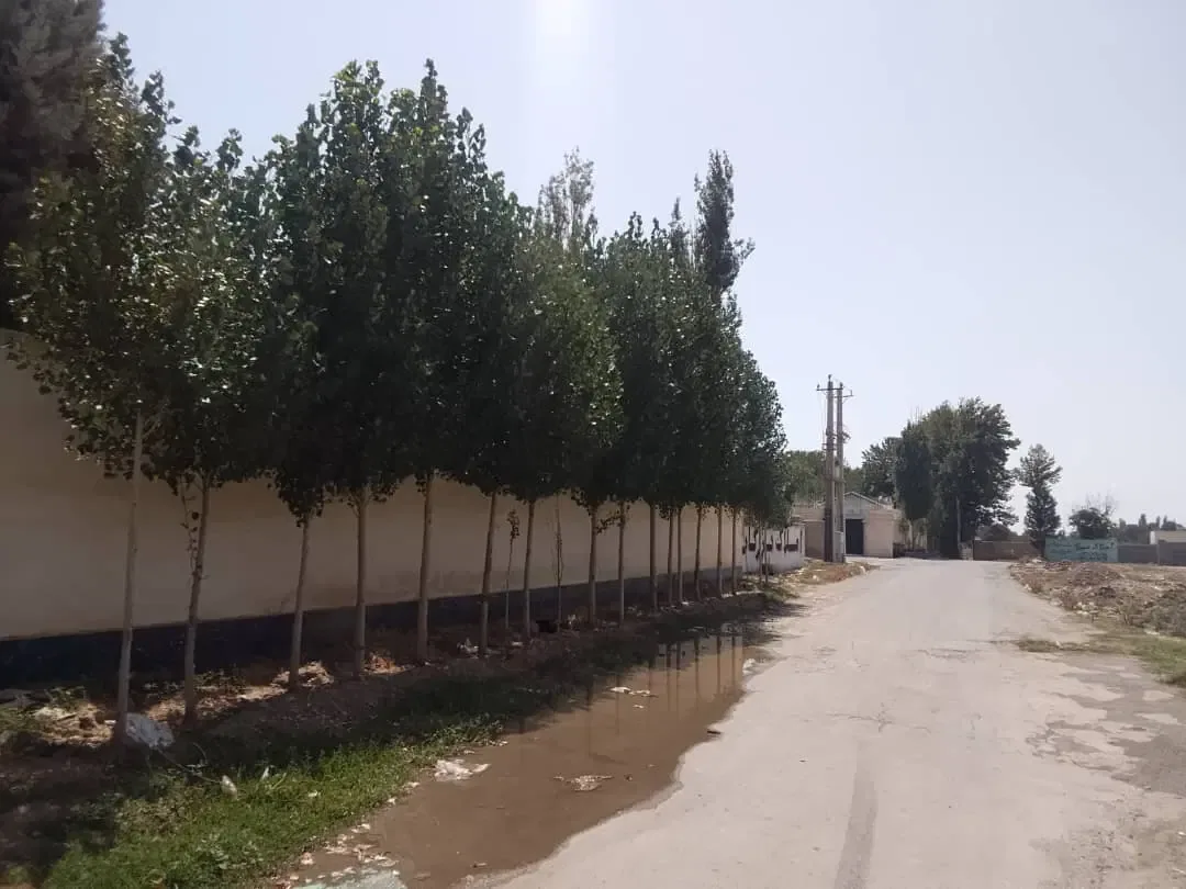 زمین ۲۵۰ متری دونبش در سهیلیه زعفرانیه کرج