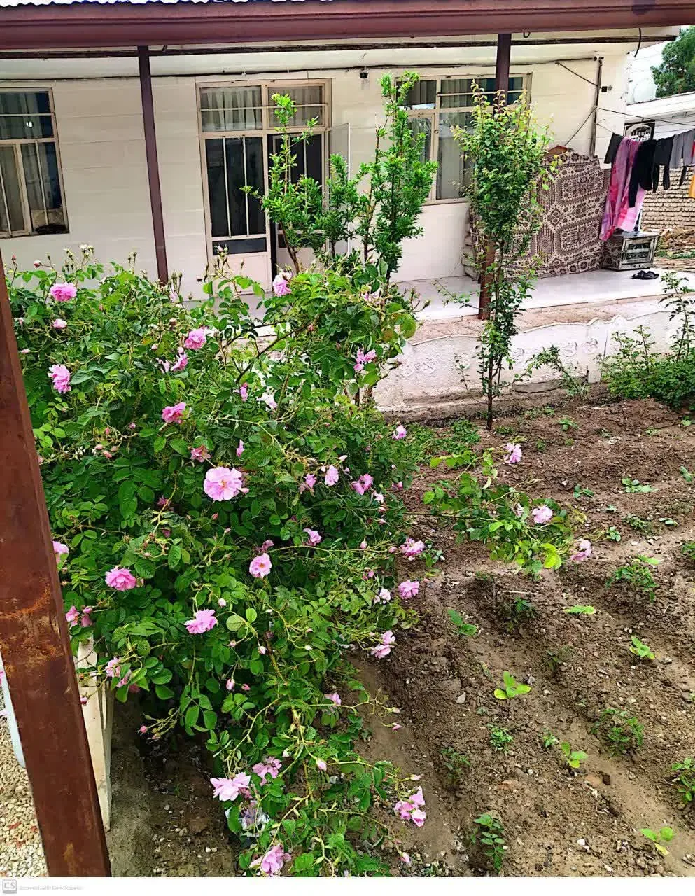 خانه ویلایی دوخوابه ۱۳۰ متری با باغچه در نجم‌آباد