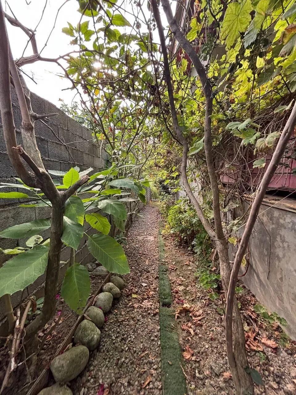 ۲۵۰ متر ویلای ۴ خوابه با استخر در عظیمیه