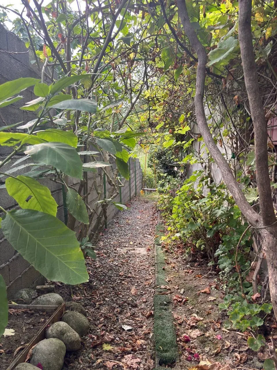 ۲۵۰ متر ویلای ۴ خوابه با استخر در عظیمیه