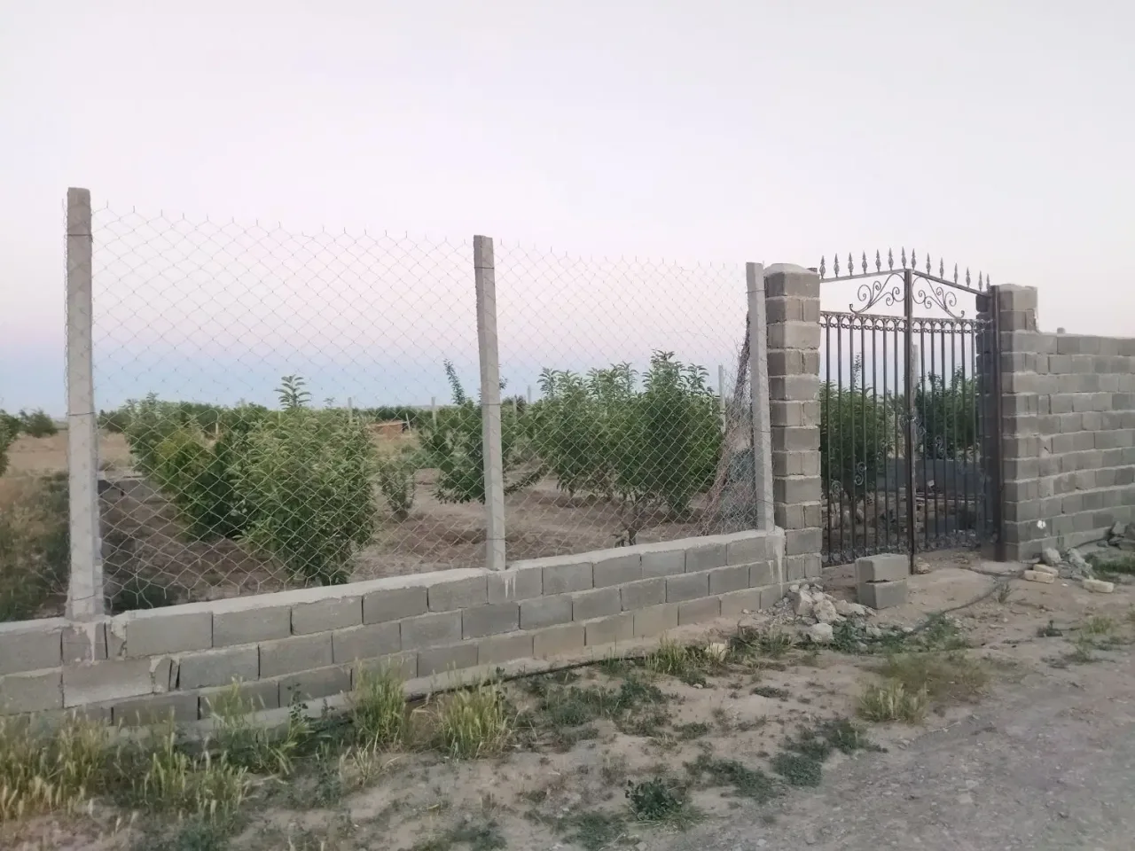 باغ ۴۲۶ متری سند تک‌برگ در سهیلیه