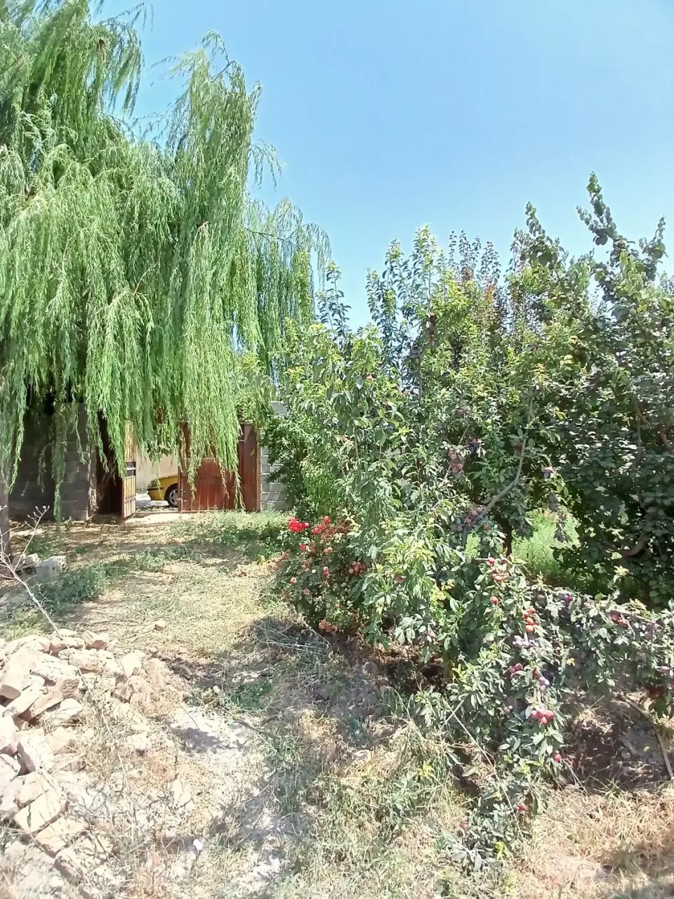باغچه ۴۵۰ متری داخل بافت سهیلیه