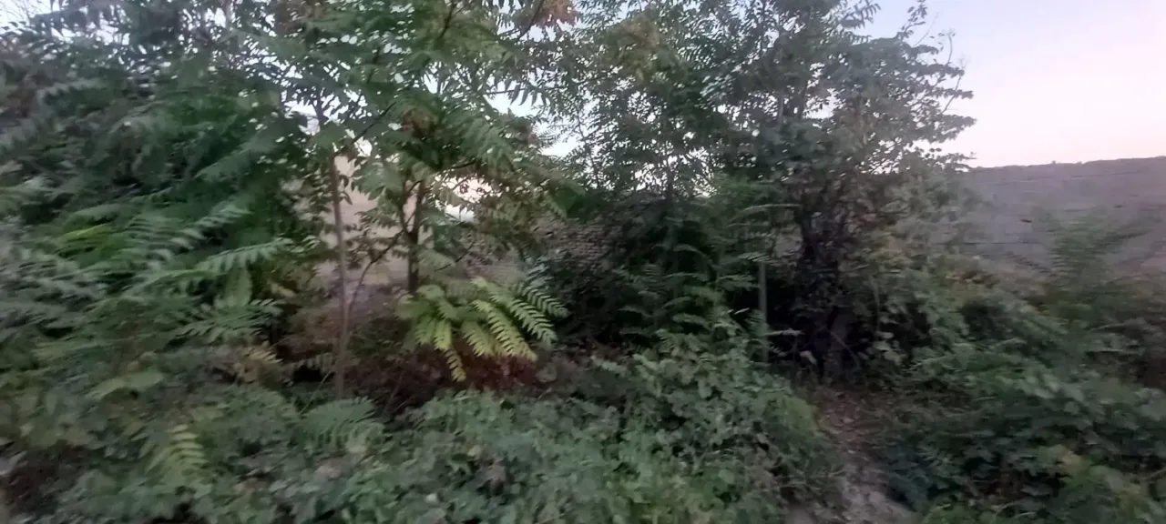 ویلای ۷۵ متری یک‌خوابه با زمین ۱۰۰۰ متری در کردان