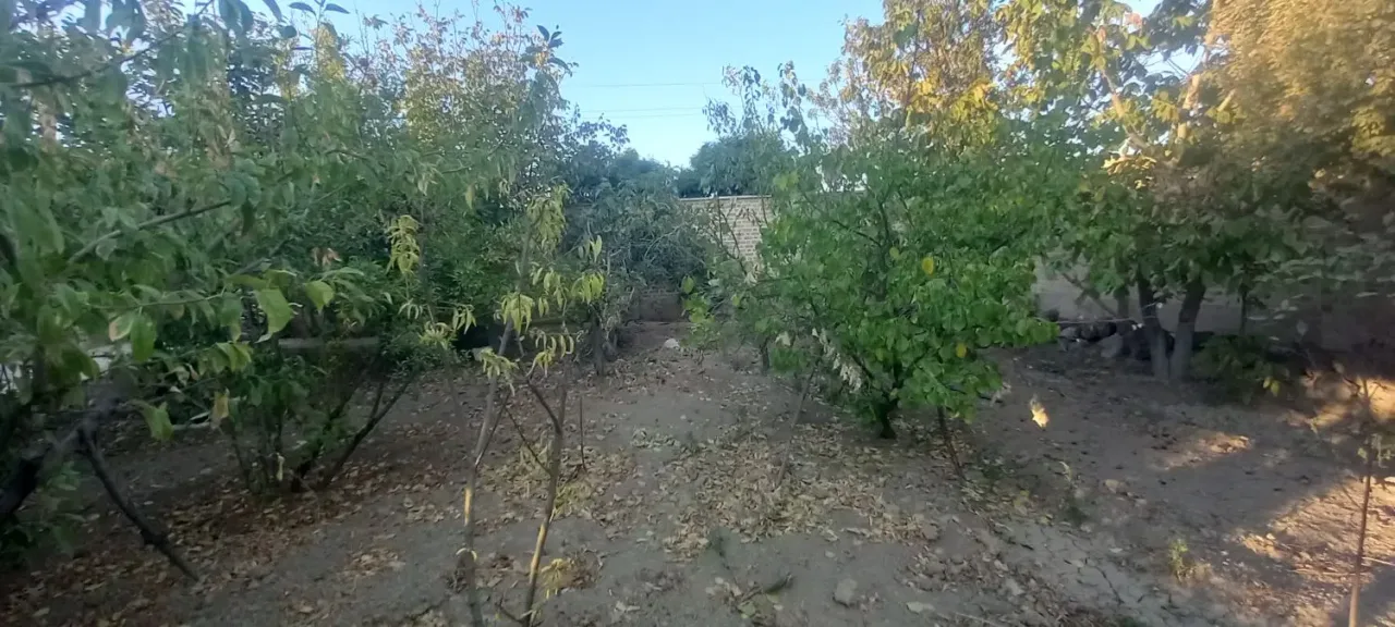 ویلای ۷۵ متری یک‌خوابه با زمین ۱۰۰۰ متری در کردان