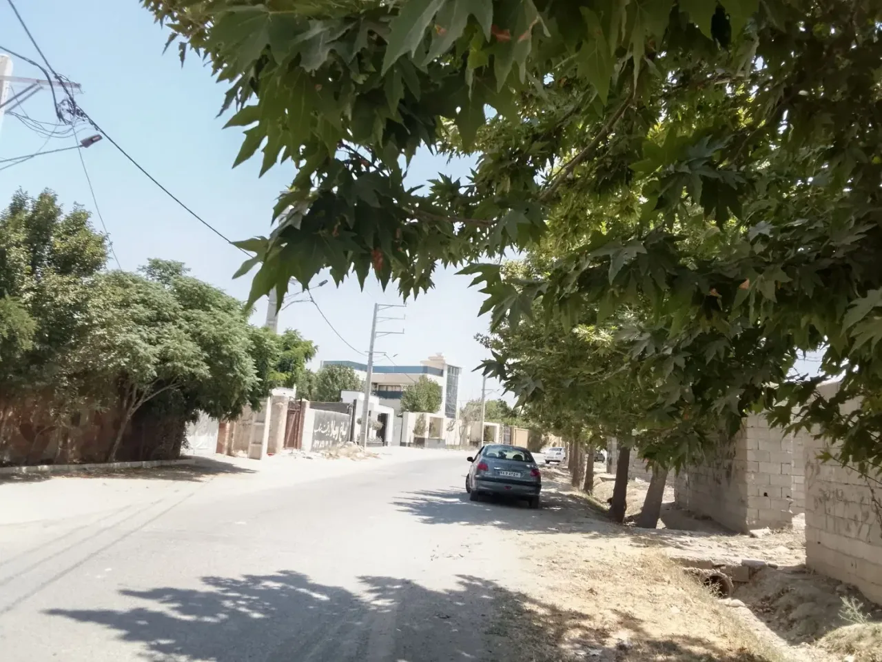 زمین باغ ۳۰۰ متری دونبش در سهیلیه