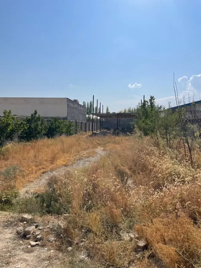 باغ ۱۰۰۰ متری در کردان سهیلیه با اسکلت ۲۰۰ متری