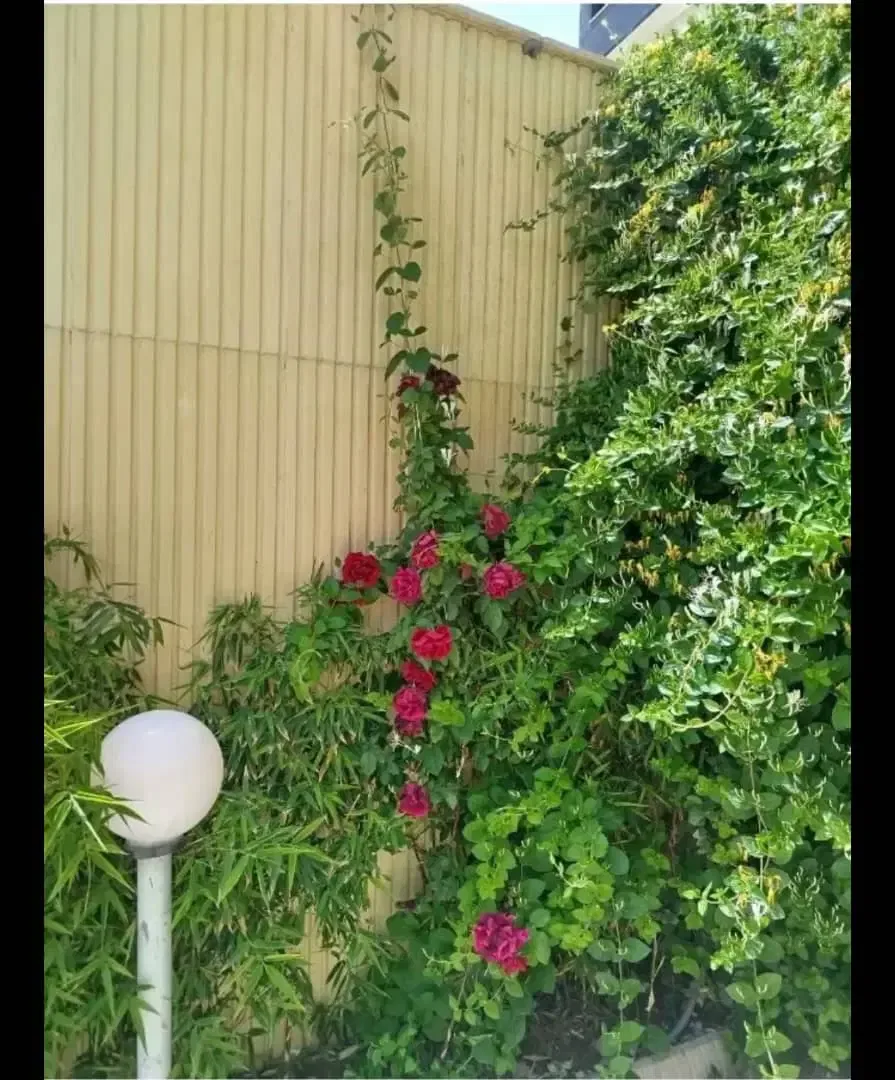 ویلای دوبلکس ۲۴۰ متری چهارخواب در سهیلیه