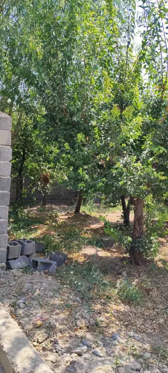 زمین ۳۰۰ متری شهرکی در سهیلیه