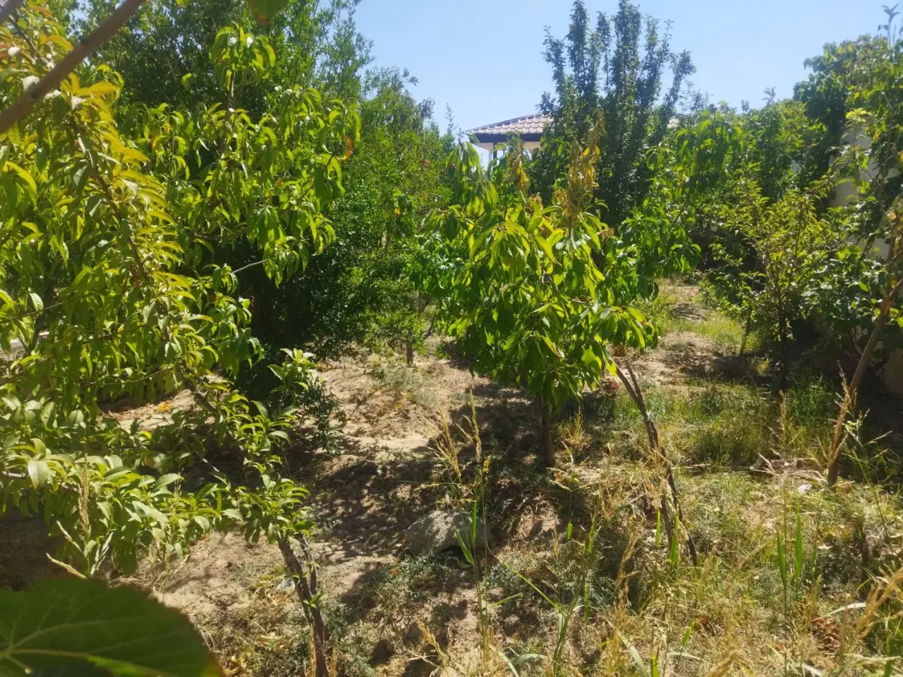ویلای ۹۰ متری دوخوابه سنددار در کردان سهیلیه