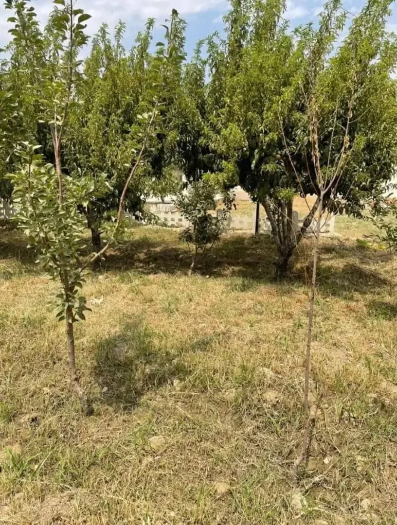 ویلای ۷۷۰ متری با سوئیت ۴۰ متری در زعفرانیه لشگرآباد