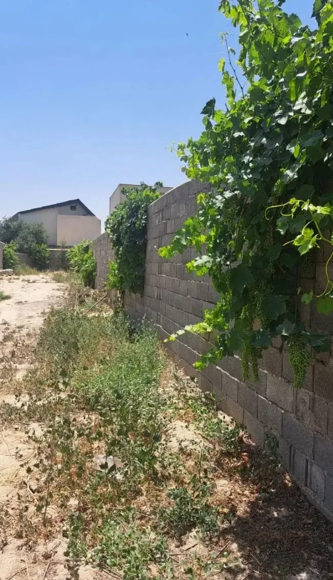 زمین تجاری ۴۲۵ متری با کنتور شهری در سهیلیه