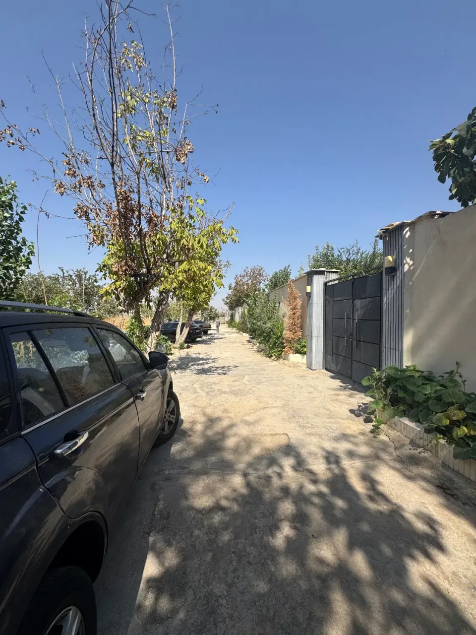 ۲۵۸ متر زمین مسکونی در سهیلیه زعفرانیه